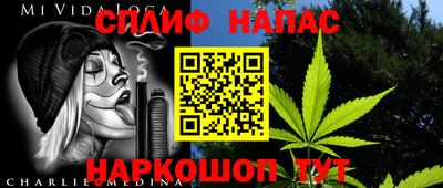 индика Тара