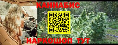 индика Тара