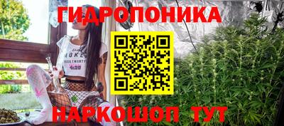 индика Тара